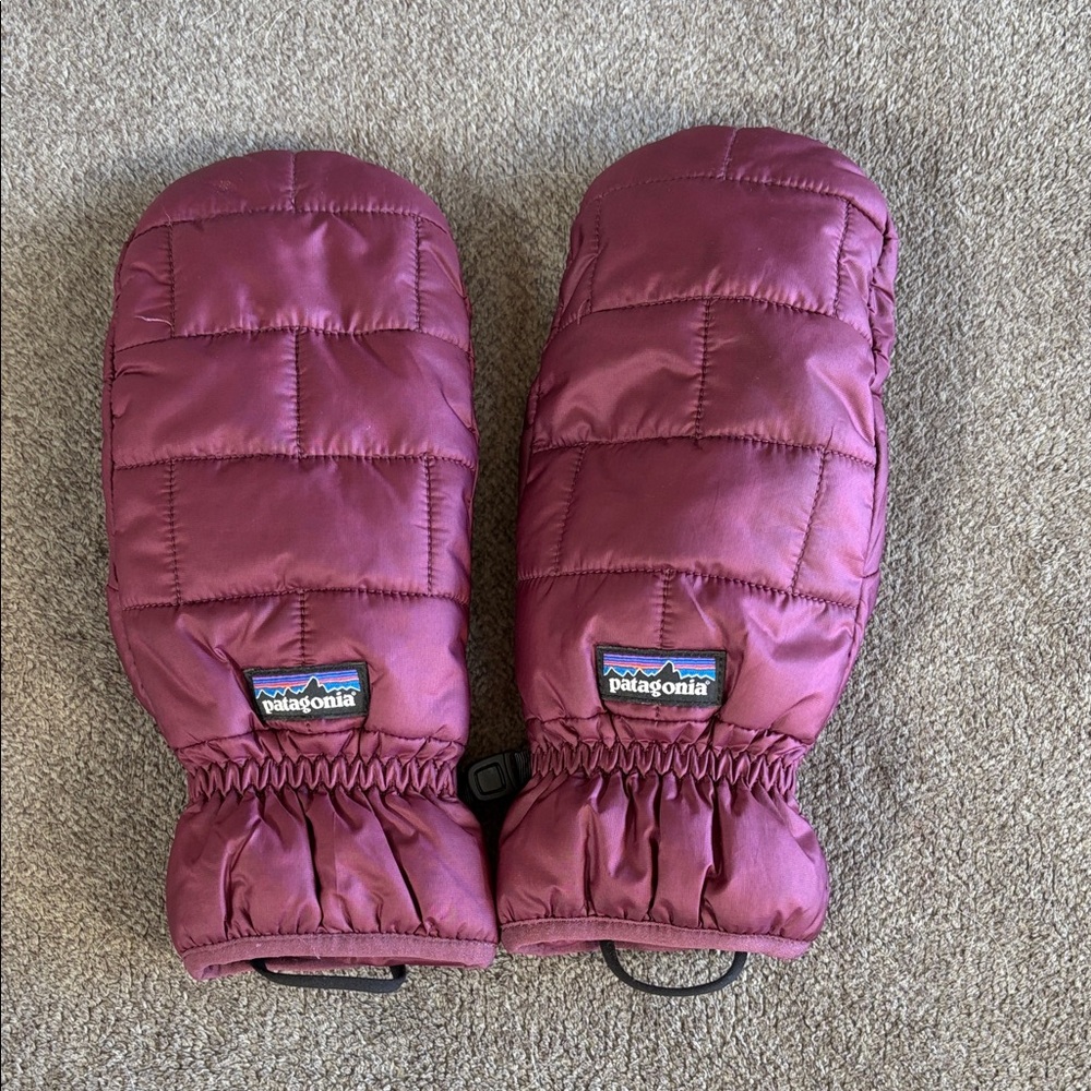 Patagonia Women's Mittens - Purple